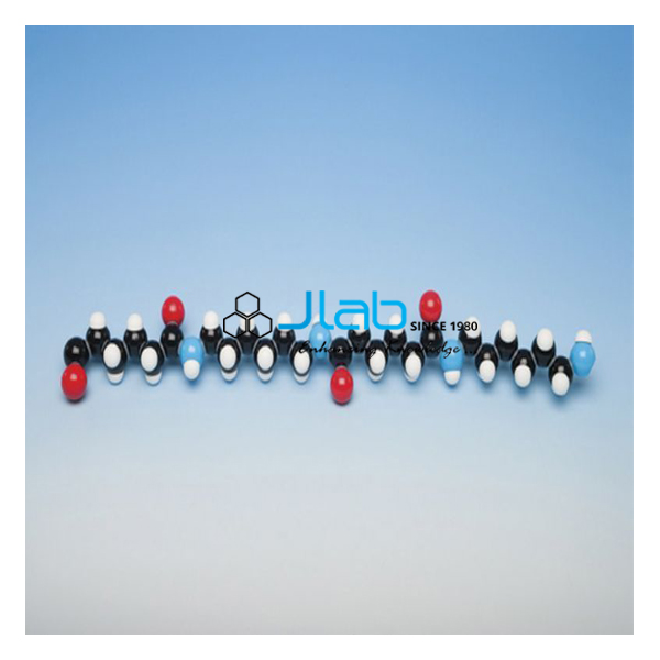 Nylon Molecular Model 6.6