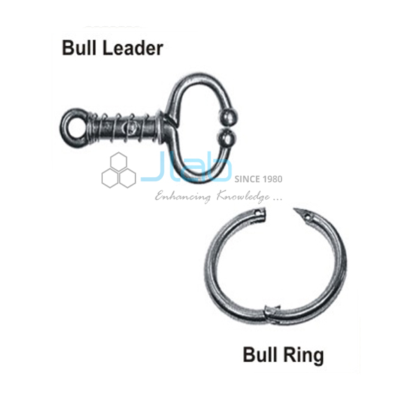 Bull Leader &amp; Bull Ring