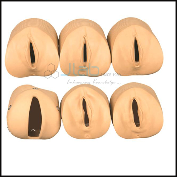 Labour Delivery Model