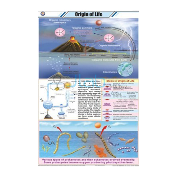 Origin of Life