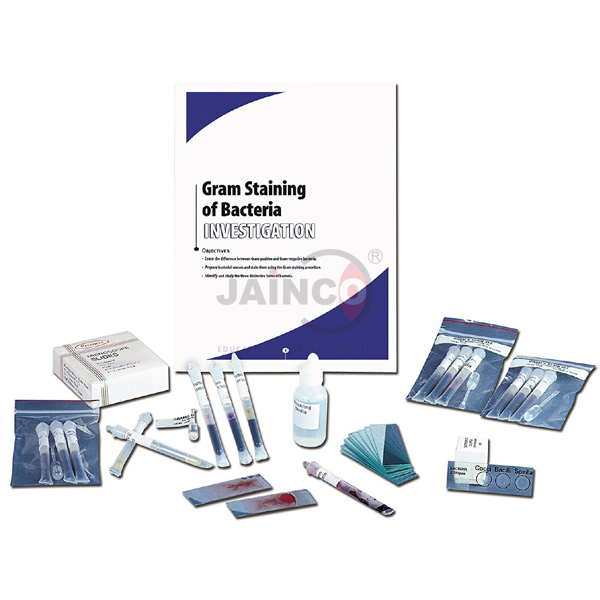 Gram Staining of Bacteria