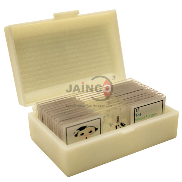 Plastic Prepared Slides