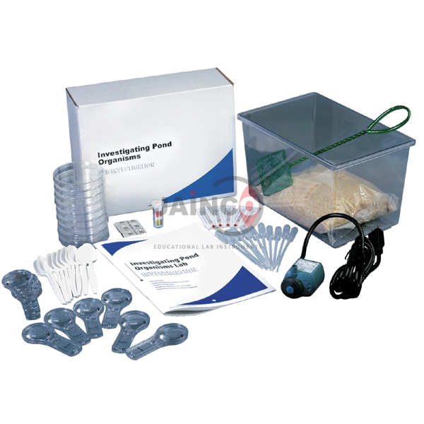 Investigating Pond Organisms