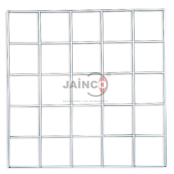 Grid Quadrat 25 Square