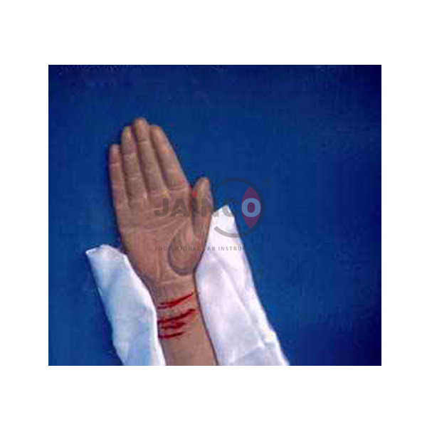 Self Inflicted Wounds on Forearm Model