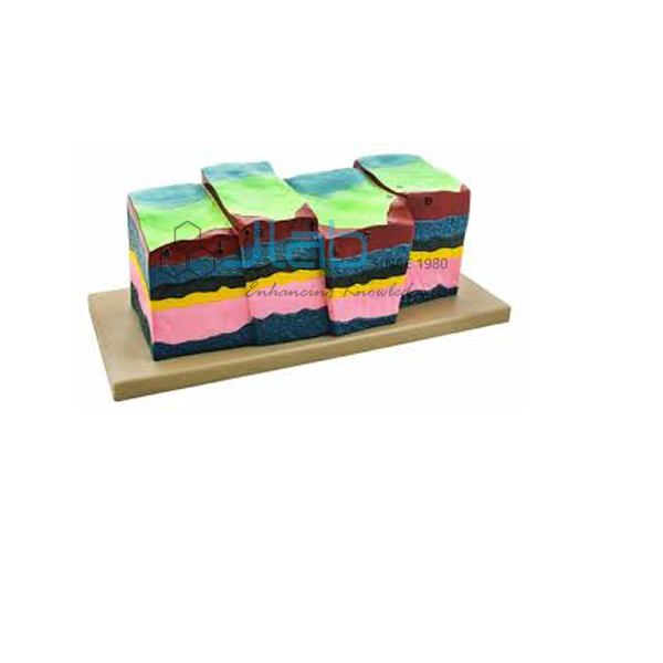 Fractures, Faults and Dislocations Model