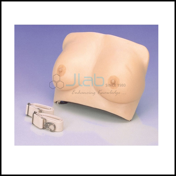 Brest Examination Model