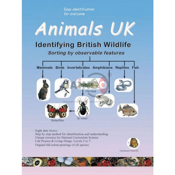 Animals CD Rom