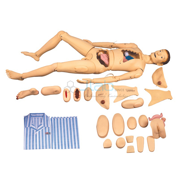 Nursing and Wound Care Manikin