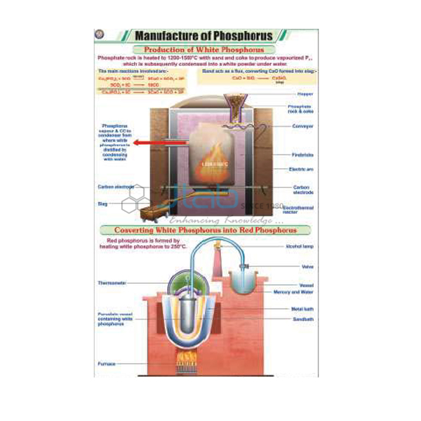 Manufacture of Phosphorus