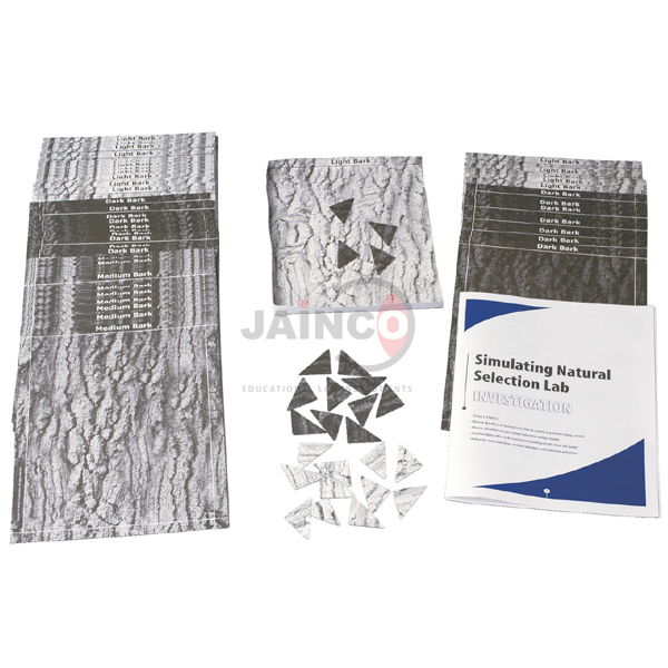 Simulating Natural Selection