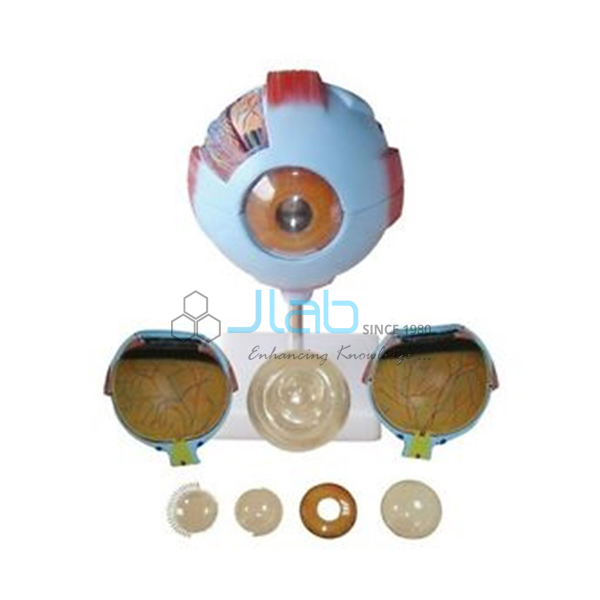 Giant  Eye Model