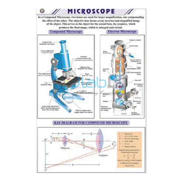 Microscope