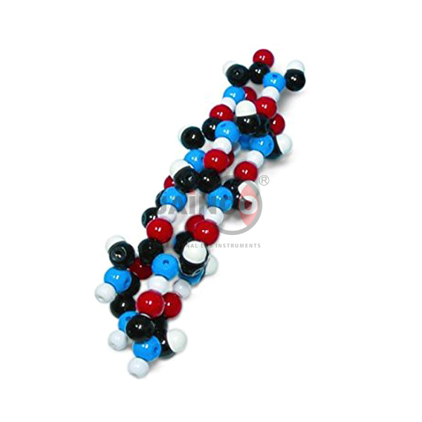 Alpha Helix Molecular Model Kit