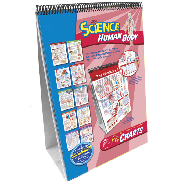 Human Body Flip Chart