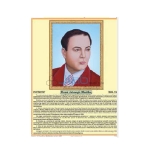 homi jehangir bhabha