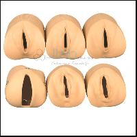 Labour Delivery Model