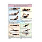 Bhujangasan, Shalbhasan, Dhanurasan and Mayurasan Chart
