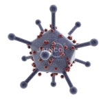 Adeno Virus Model