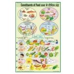 Constituents of Food Chart