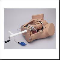 Delivery Leopold Maneuvers Simulated Model