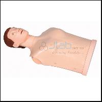 Half Body CPR Training Model Male