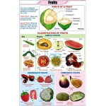 Fruits Chart