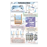 Purification of Water